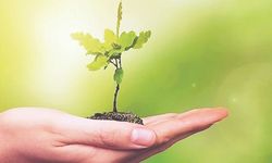 2023 yeşil dönüşüm yılı olacak