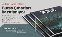 Bursa Çınarları Dergisi 2025 hazırlanıyor