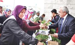 Nilüfer Belediyesi’nden ücretsiz fide