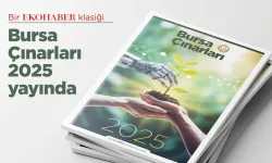 Bursa Çınarları 2025 Yayında!
