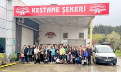 Öğrenciler kestane şekeri üretimini inceledi