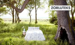 Zorluteks ödüle layık görüldü