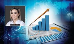 Derya Hekim’den ekonomi değerlendirmesi