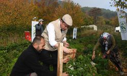 Osmangazi’de Üzümsü Meyvelerde Organik Tarım Seferberliği