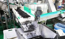 Marmarabirlik’in hedefi Ortadoğu pazarı