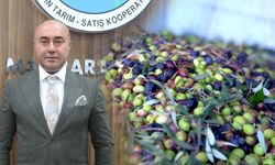 Marmarabirlik’ten rekor yılı