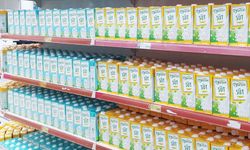 Yörsan Afrika pazarına açıldı