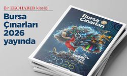 Bursa Çınarları 2026 Yayında!