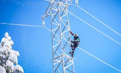 Uludağ Elektrik’ten elektrik şebekelerine akıllı sayaç