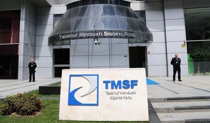 TMSF tasarruf finansman şirketlerinin tasfiyesinde yol haritasını belirledi