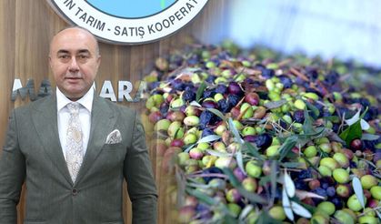 Marmarabirlik’ten rekor yılı