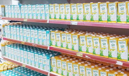 Yörsan Afrika pazarına açıldı