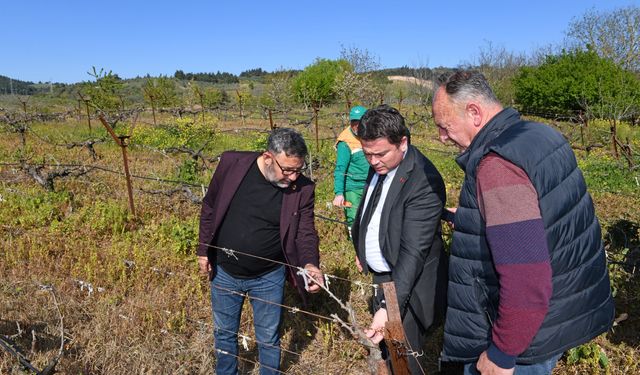 Başkan Aydın zirai don mağduru çiftçileri yalnız bırakmadı