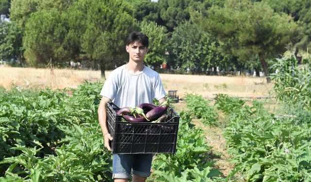 Organik sebzeler Kent Lokantası’nda yemeğe dönüştü