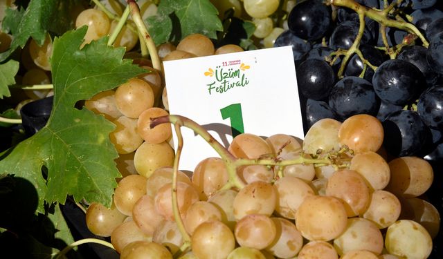 En Kaliteli Üzümler Osmangazi’de Yarıştı