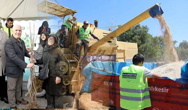 Büyükşehir Belediyesi üreticiye nefes oluyor