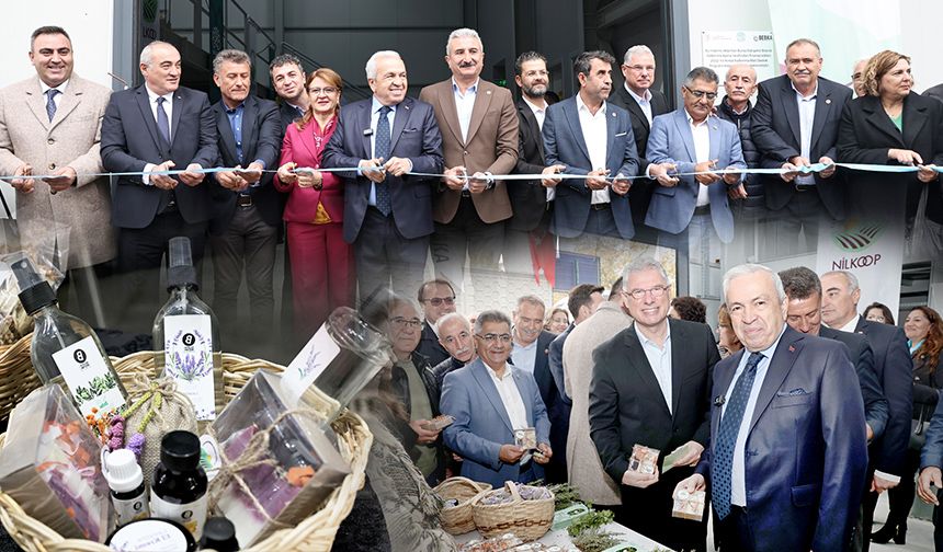 Nilüfer'den tıbbi ve aromatik bitkilere değer katacak yatırım