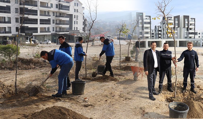 KAYAPA OSB’DEN 1000 FİDANLIK “YEŞİL KUŞAK”