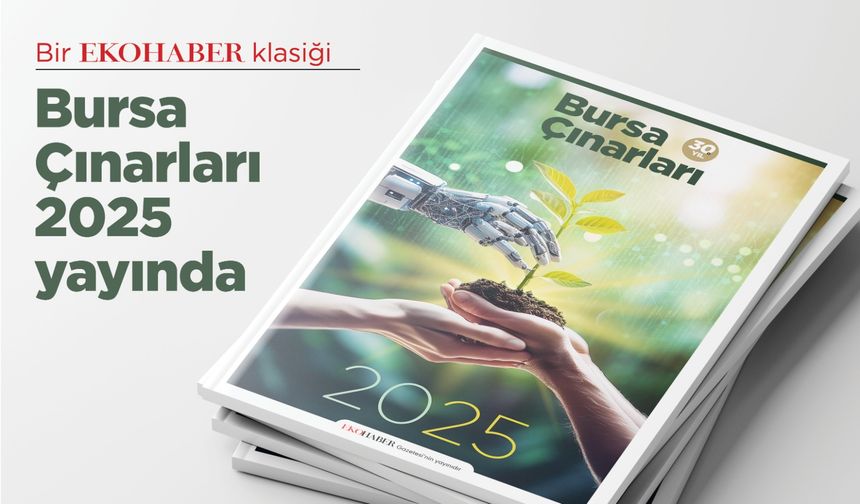 Bursa Çınarları 2025 Yayında!