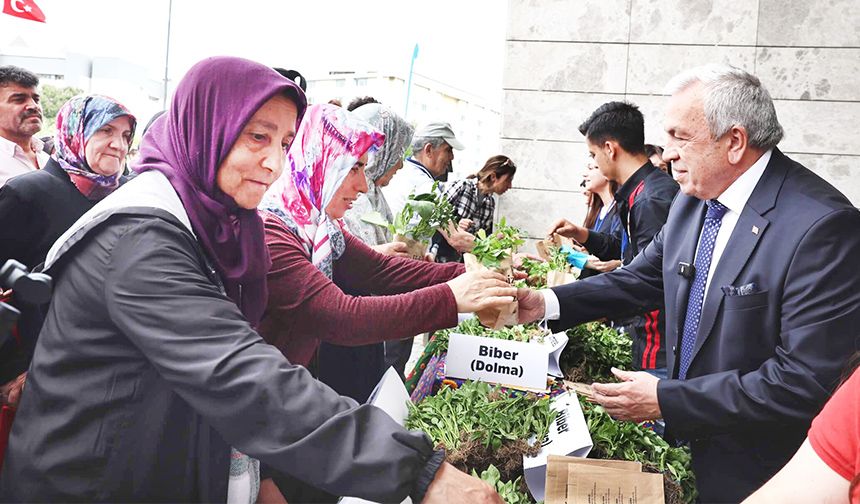 Nilüfer Belediyesi’nden ücretsiz fide