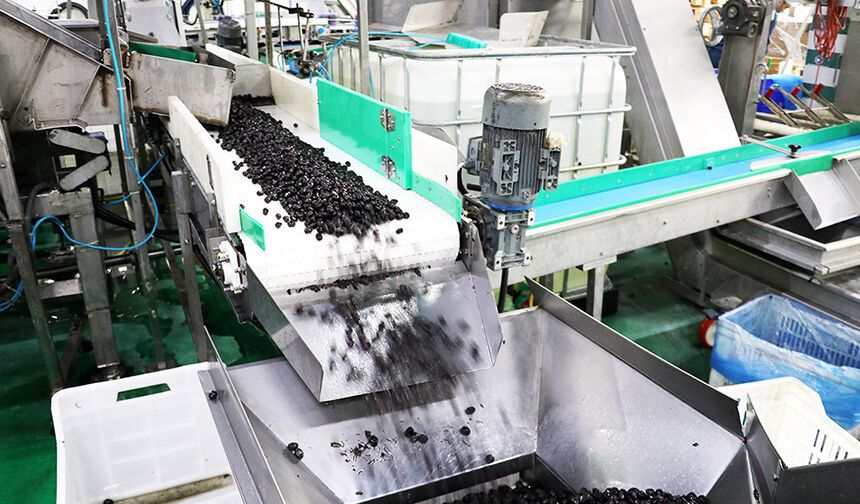 Marmarabirlik’in hedefi Ortadoğu pazarı