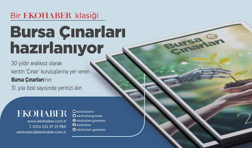 “Bursa Çınarları 2026” hazırlanıyor