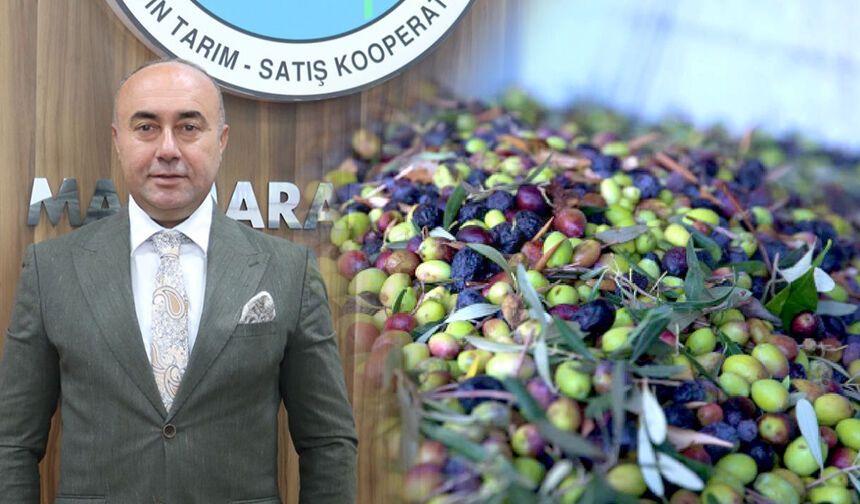 Marmarabirlik’ten rekor yılı