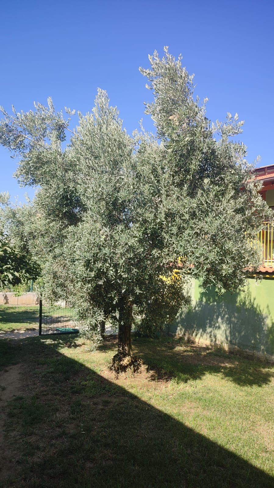 Whatsapp Image 2025 09 15 At 14.57.13